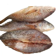 yellow-croaker-1kg-bb-30-04-24