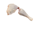 pluvera-chicken-1-3-kg