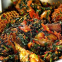 vegetable-soup-idikakon-afan-eforiro