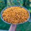jollof-rice-plain