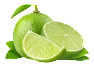 fresh-lime-x1