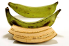 green-plaintain-x-3