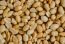 fresh-whole-peanut-1kg