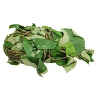 fresh-uziza-leaf-bunch