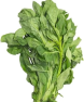 fresh-soko-leaves-bunch