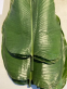 fresh-ewe-leaf-moi-moi-leaves